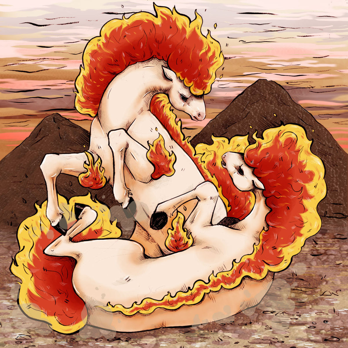 Ponyta