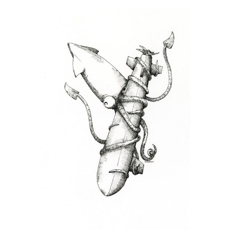 Squid by Keith Noordzy