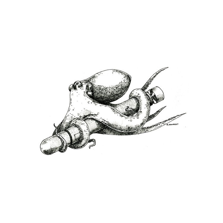 Octopus by Keith Noordzy