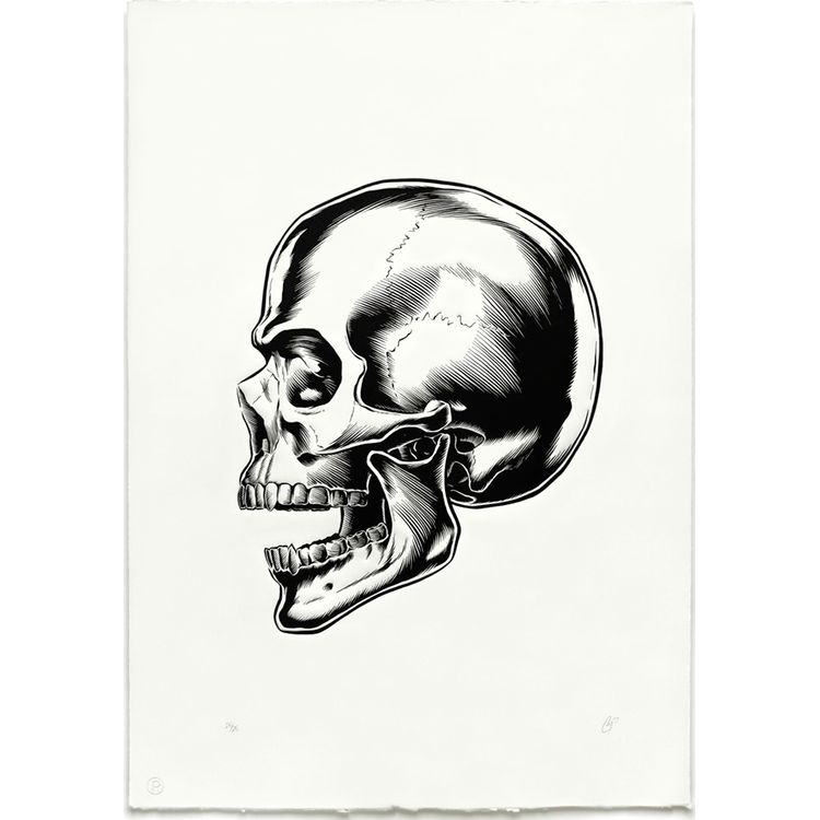 Memento Mori by COOP (Chris Cooper)