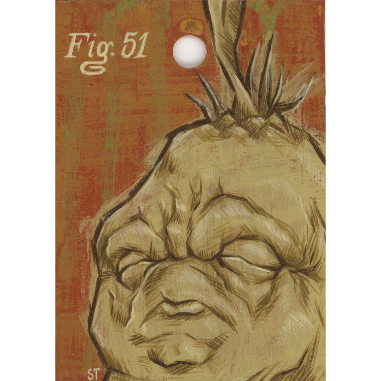 Fig. 51 by Scott Tolleson