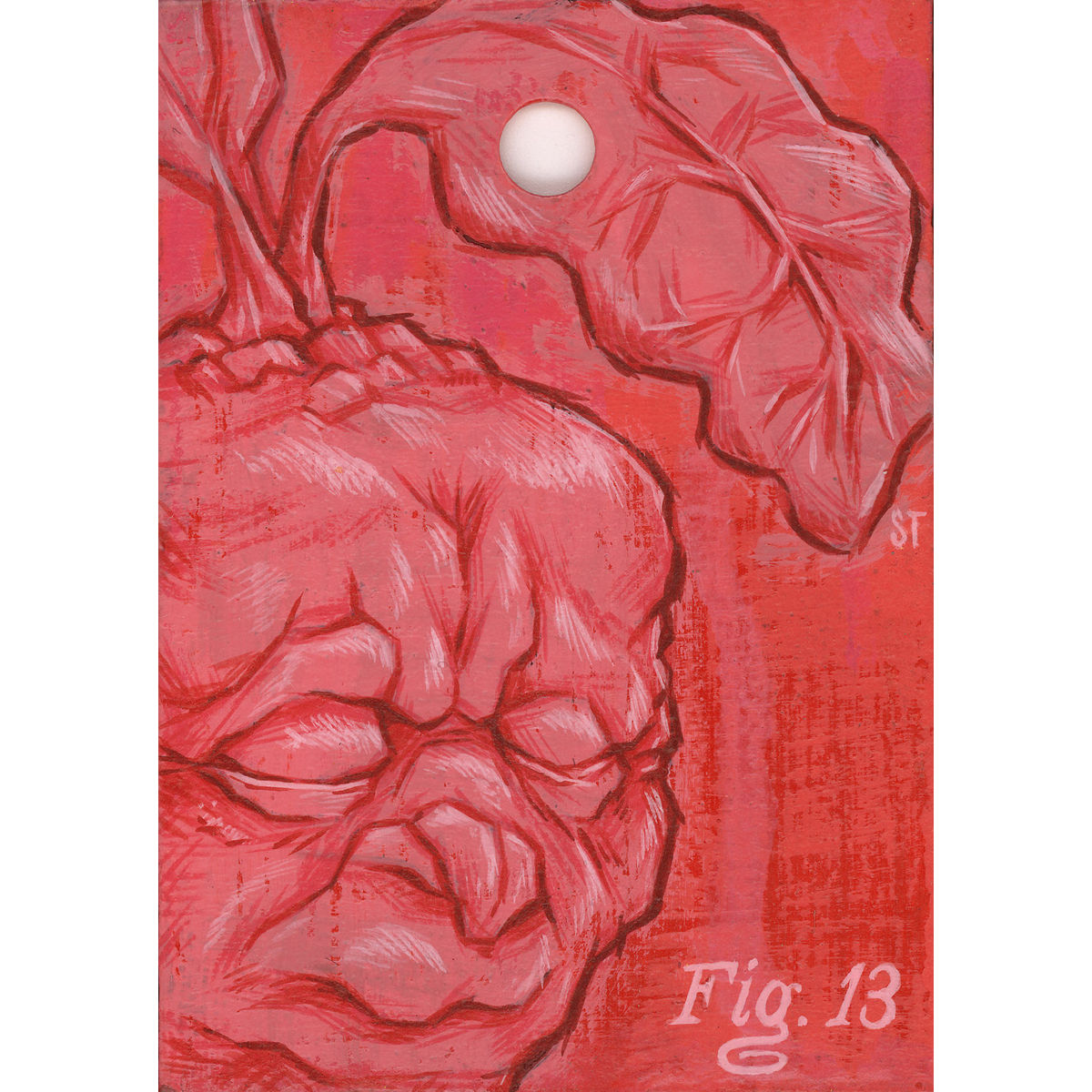 Fig. 13