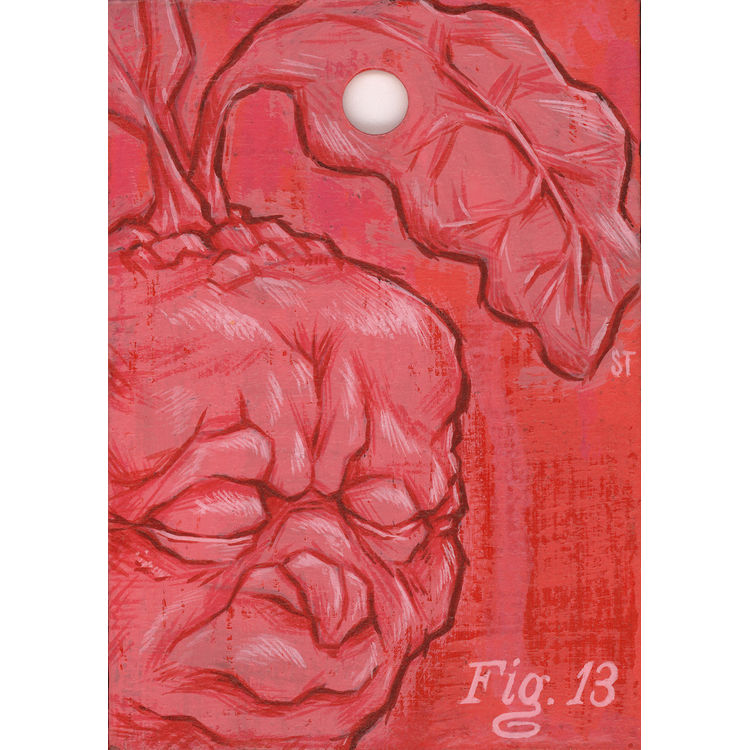 Fig. 13 by Scott Tolleson