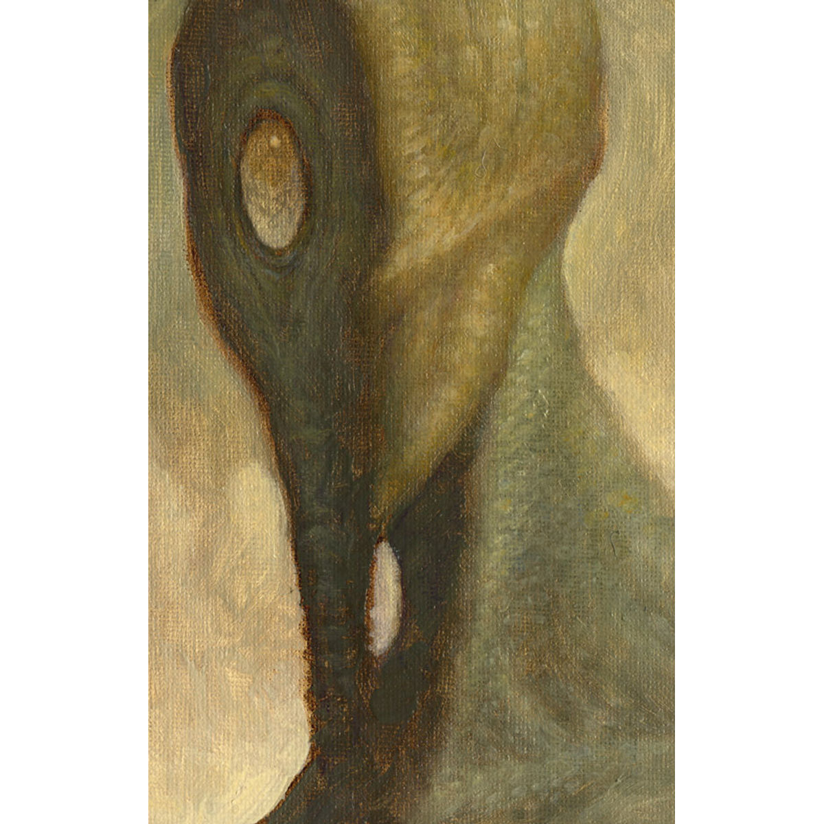 Noxious 1