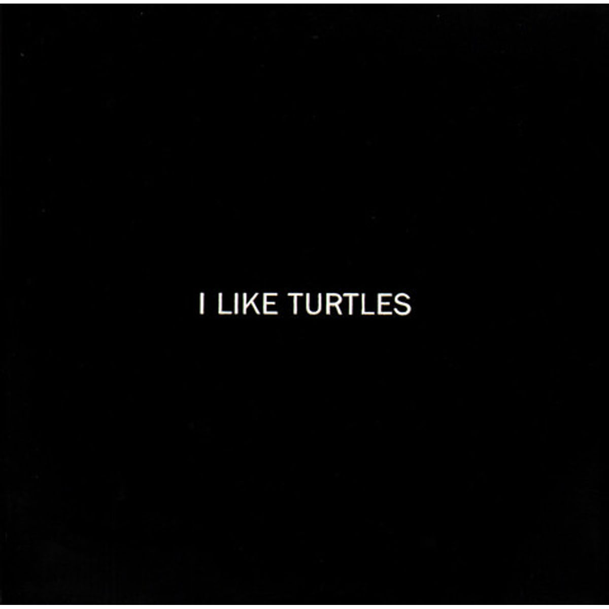 I Like Turtles