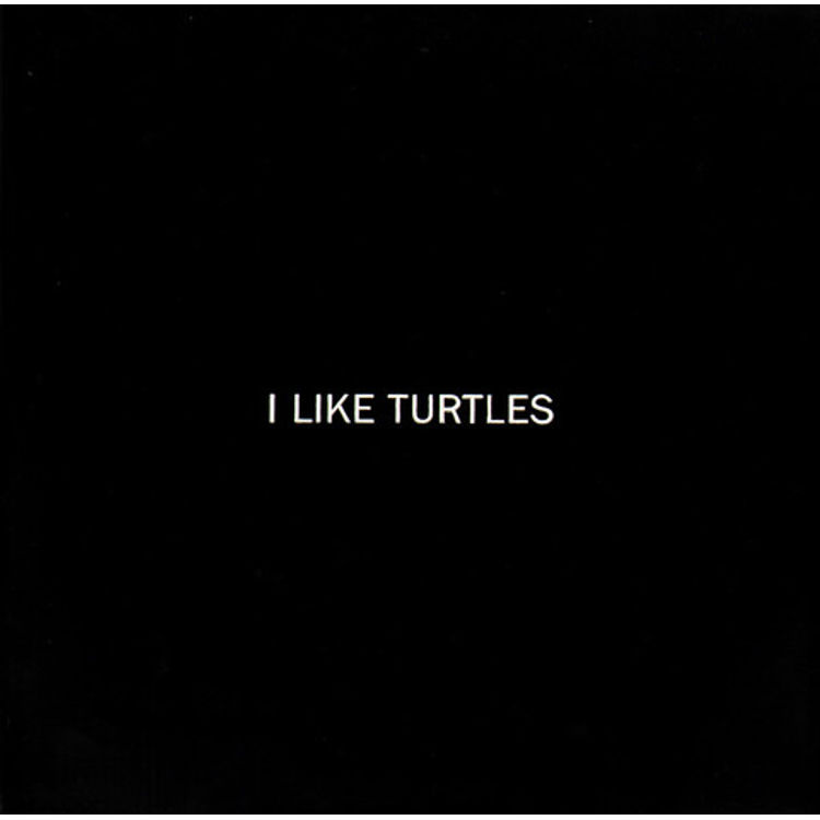 I Like Turtles by Kiersten Essenpreis
