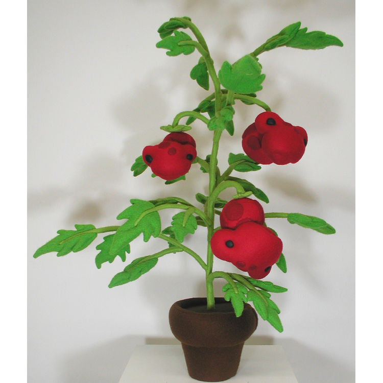 Tomato Toads on the Vine by Jill Penney