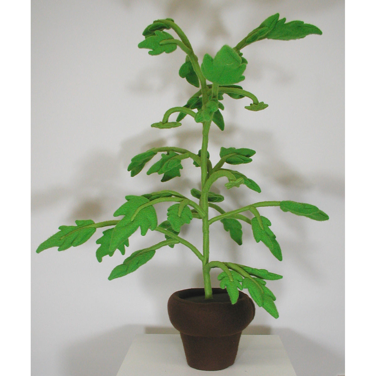 Tomato Toads on the Vine