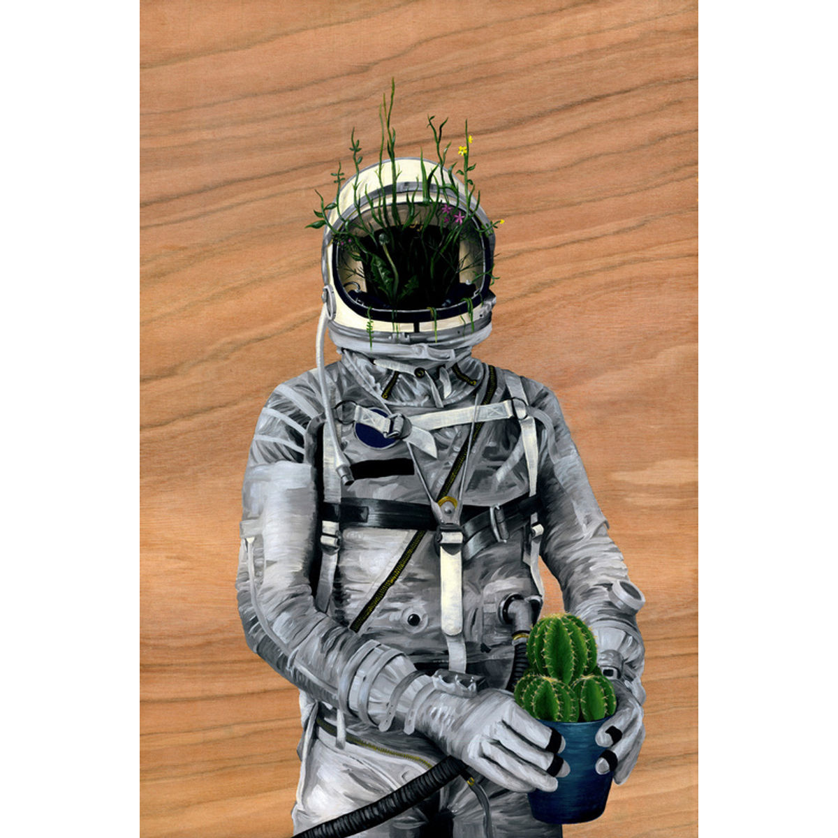 Cacti | Spaceman No:1