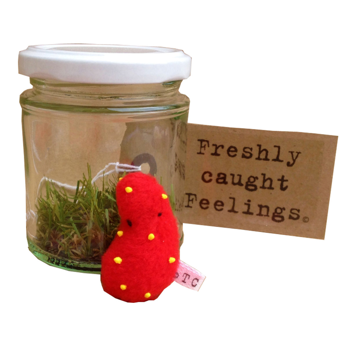 Freshly Caught Feelings : Fruity