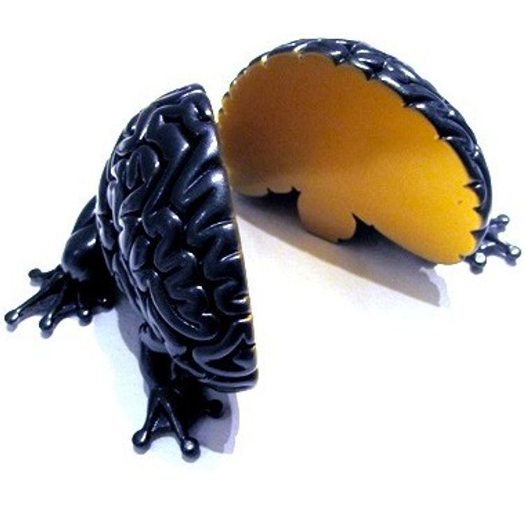 Jumping Brain - HP Resin L by Emilio Garcia