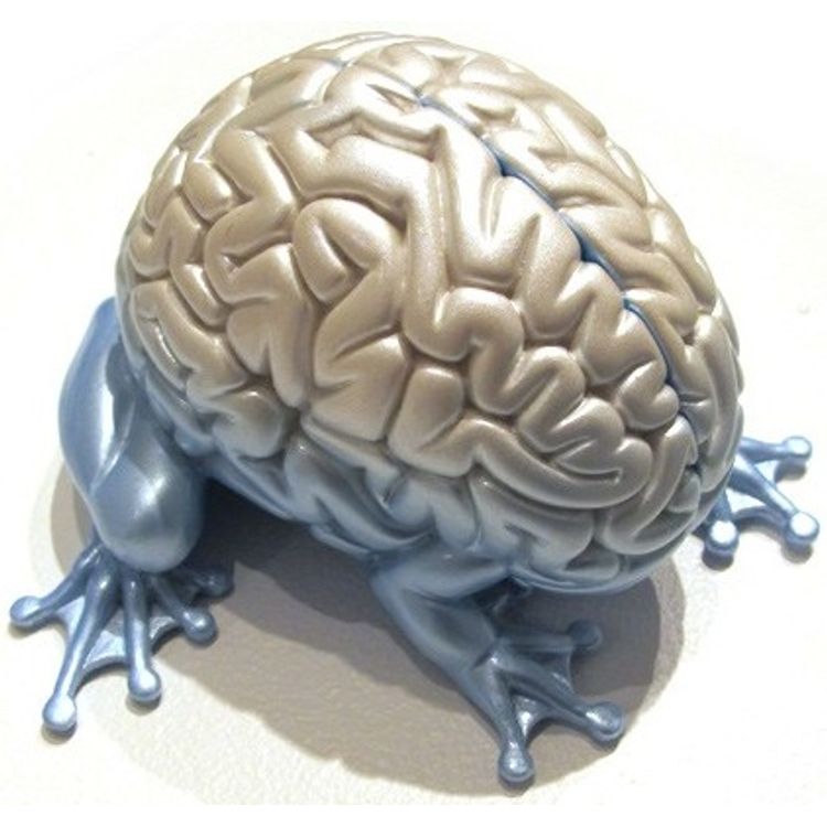 Jumping Brain - HP Resin I by Emilio Garcia