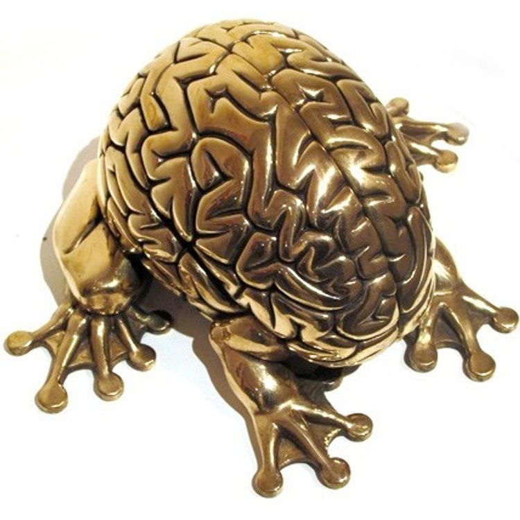 Jumping Brain XL - Bronze by Emilio Garcia