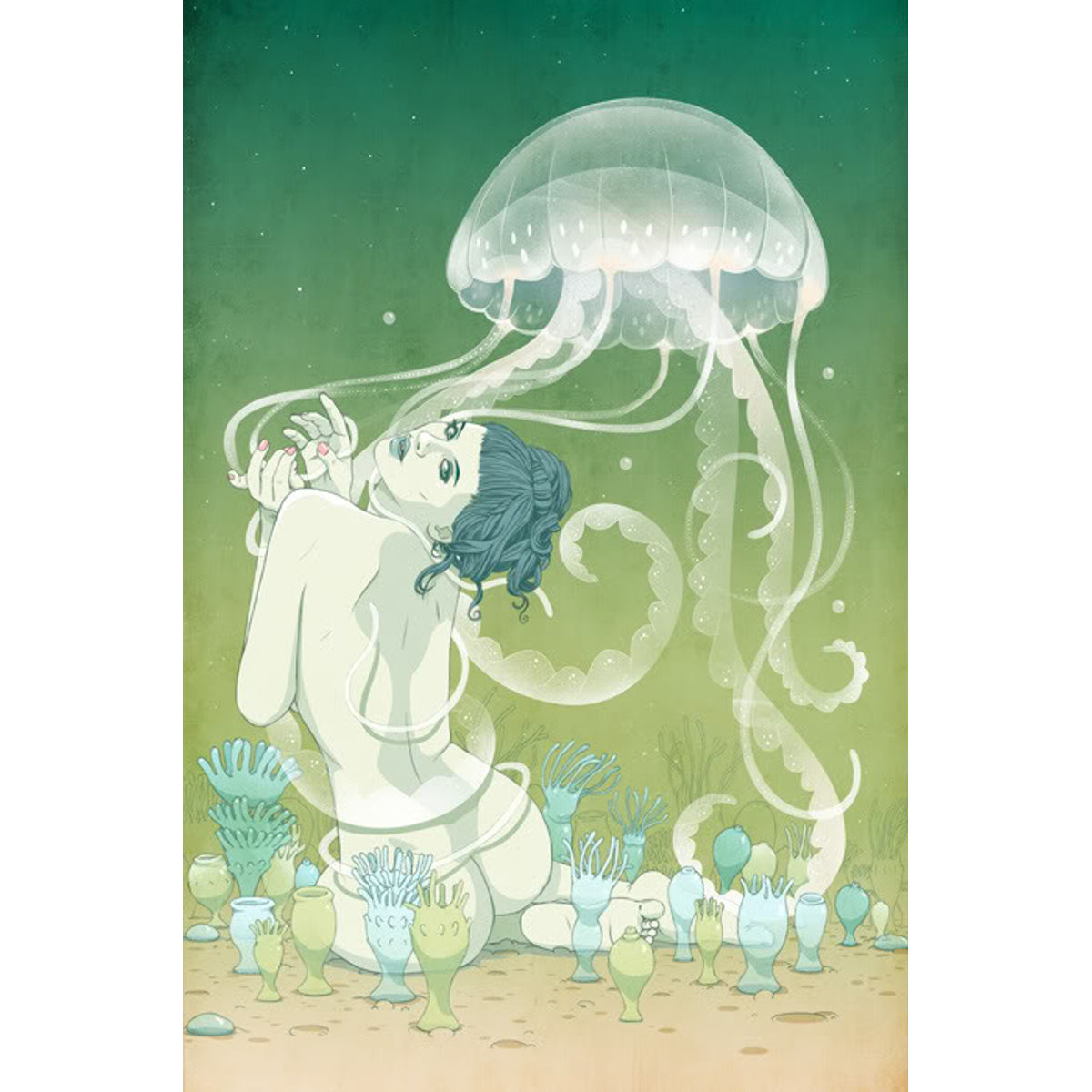 Schyphozoan Lifecycle