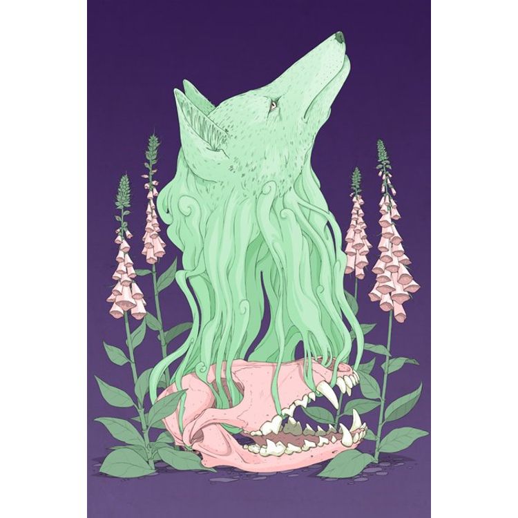 Coyote by Stuntkid (Jason Levesque)