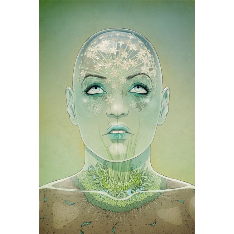 Terrarium by Stuntkid (Jason Levesque)