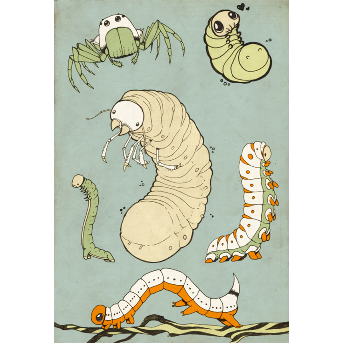 Creepy Crawlies