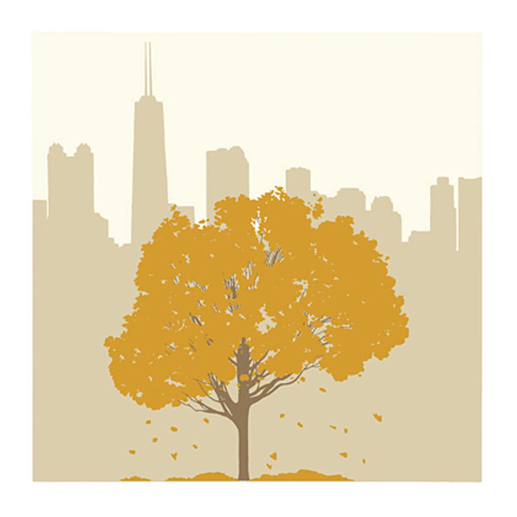 Chi Fall 3 by Ryan Kapp
