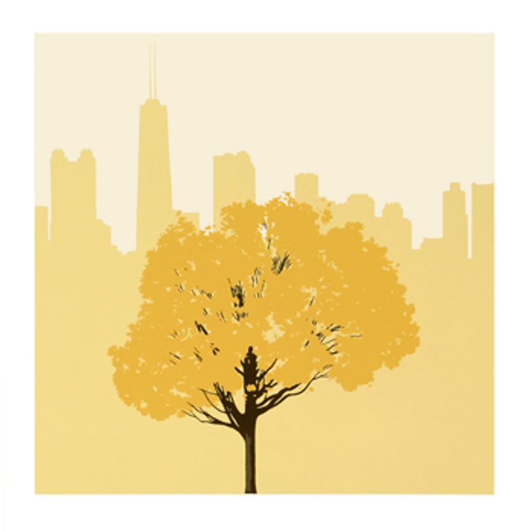 Chicago in Fall by Ryan Kapp