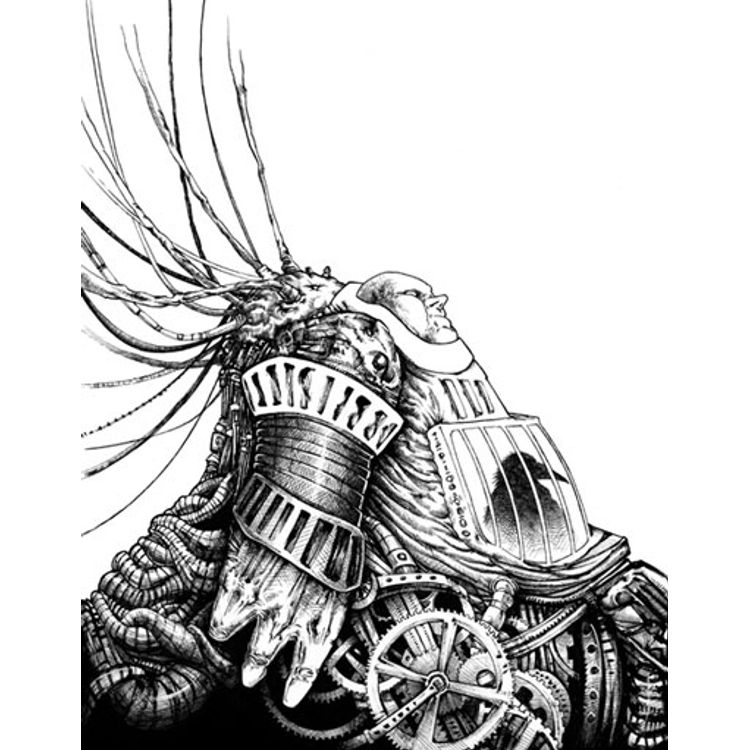 Birdcage by Dave Correia