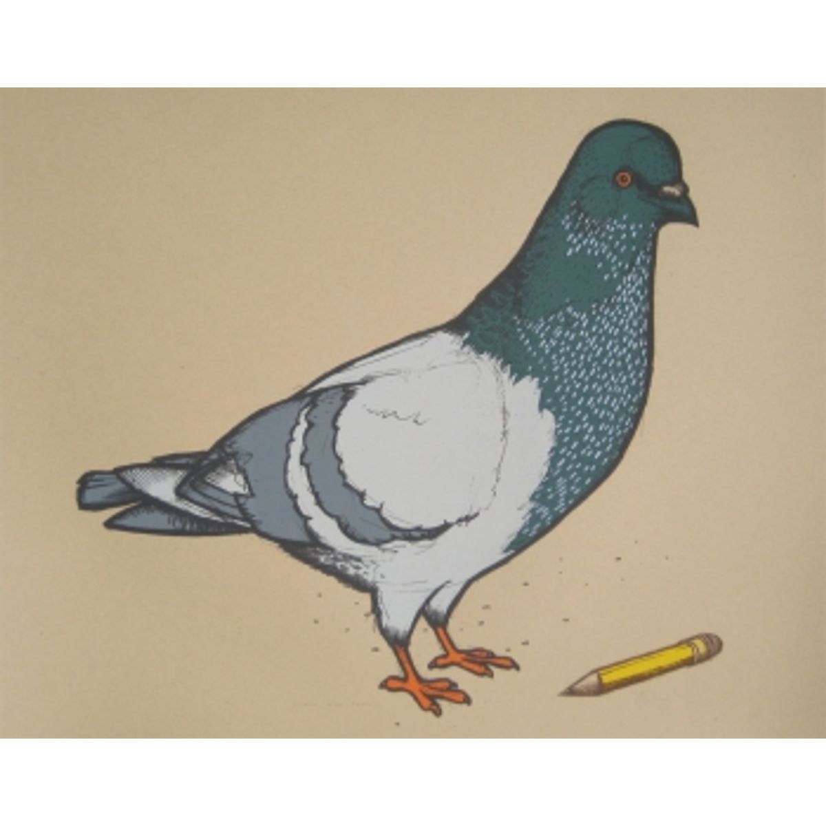 pigeon with pencil