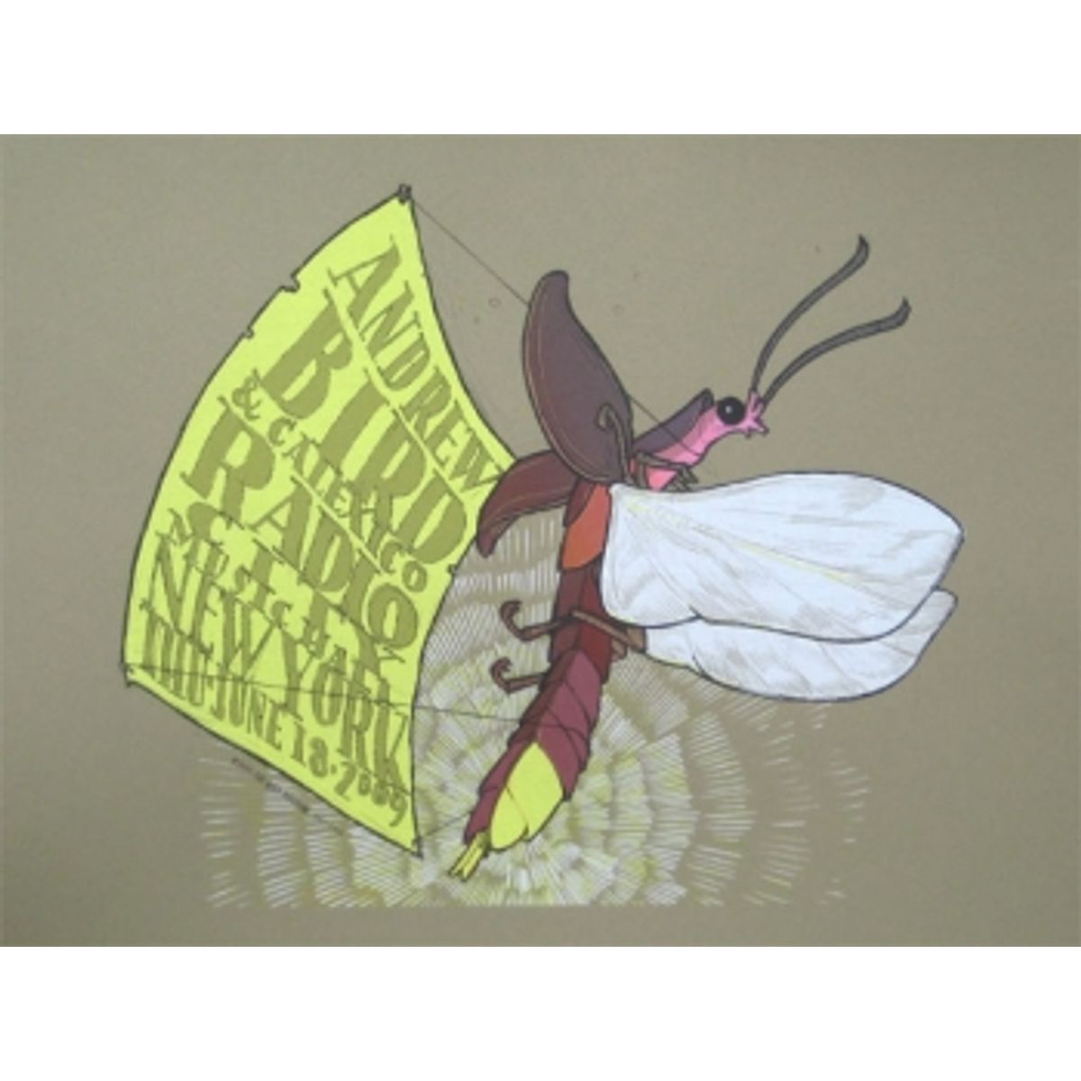 andrew bird @ radio city