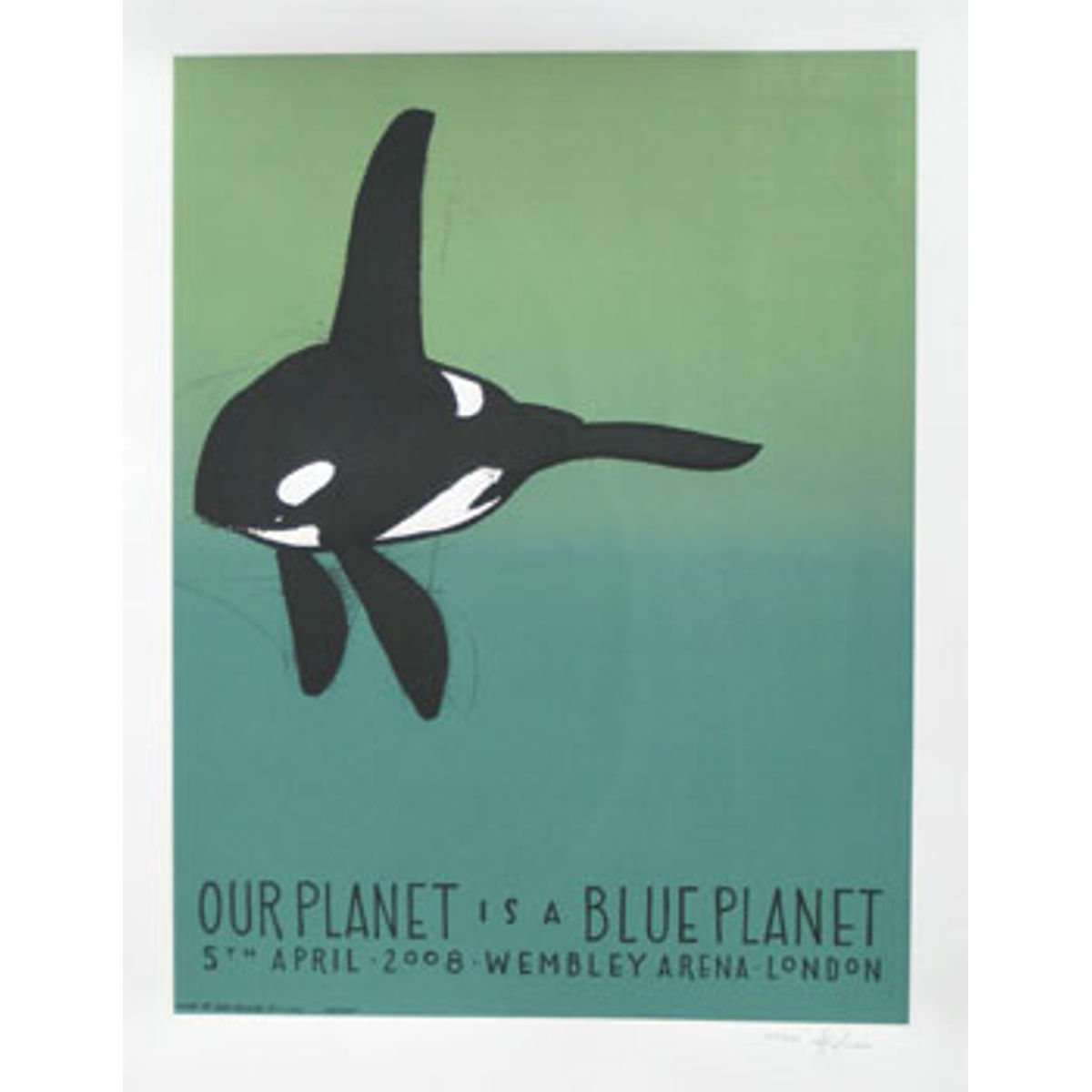 blue planet - orca