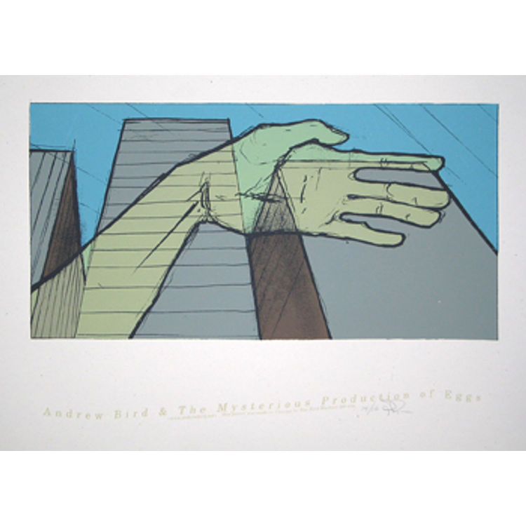 andrew bird - skin is, my by Jay Ryan