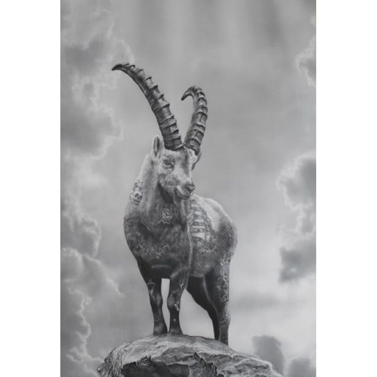 King Of The Mountains by Zoé Byland