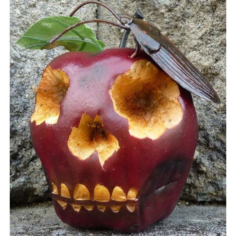 Rotten Roach by Zam