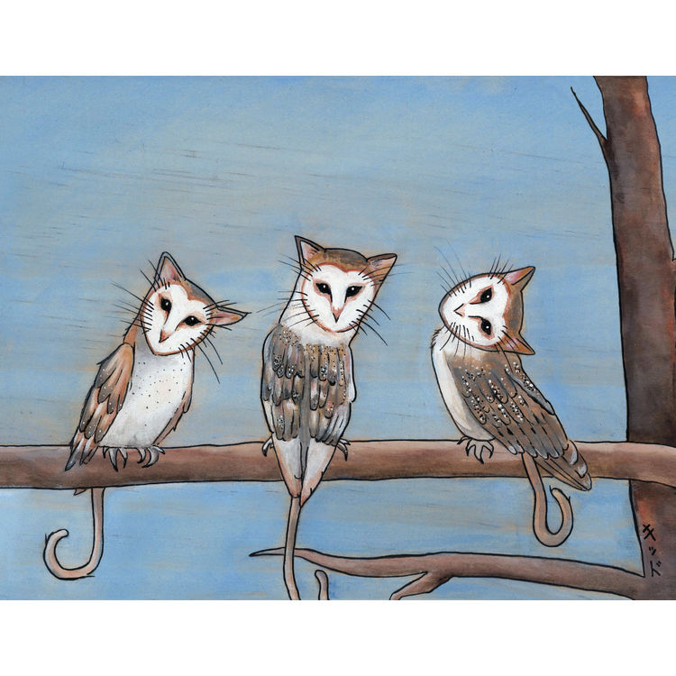 Owlcats by Jen Kiddo