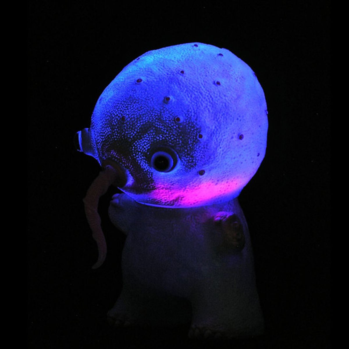 Dragatomi SDCC Exclusive Nightgamer