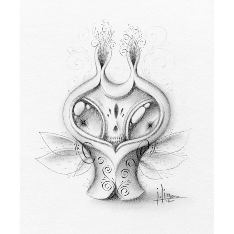 Fragment No. 81 Draft by Jason Limon