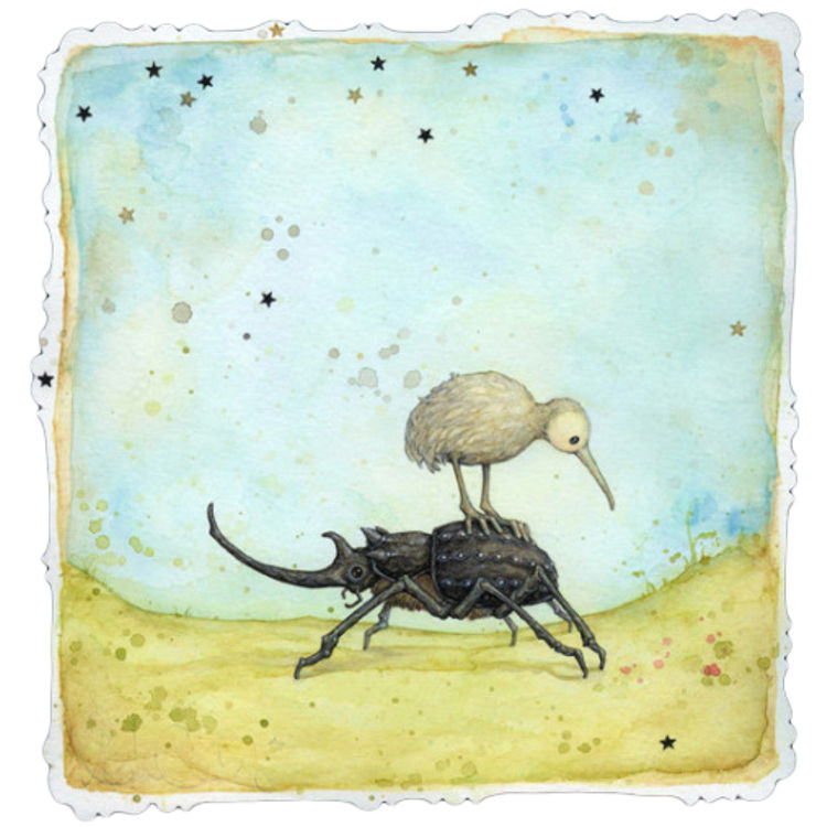 The Rare Miniature Kiwi by Leontine Greenberg