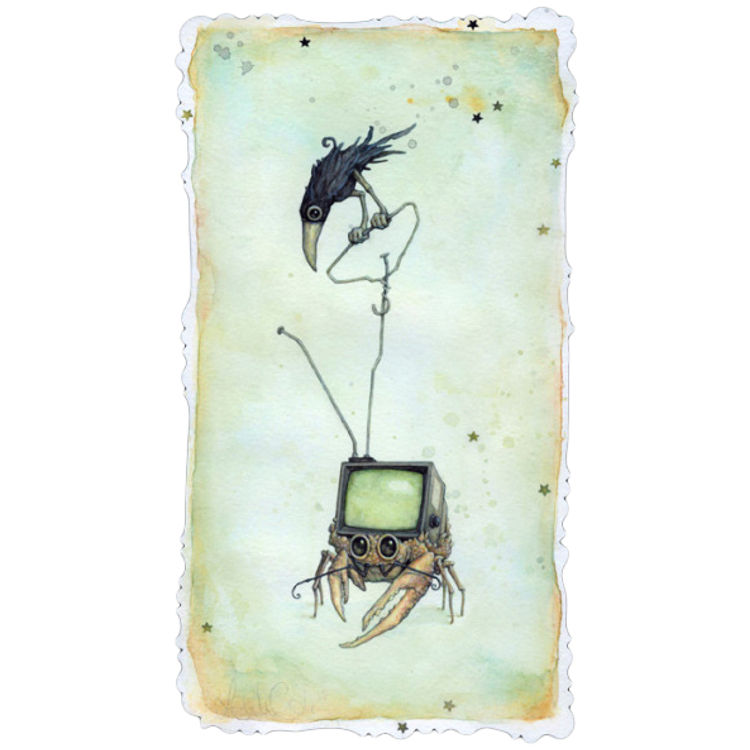 Robber Crab by Leontine Greenberg