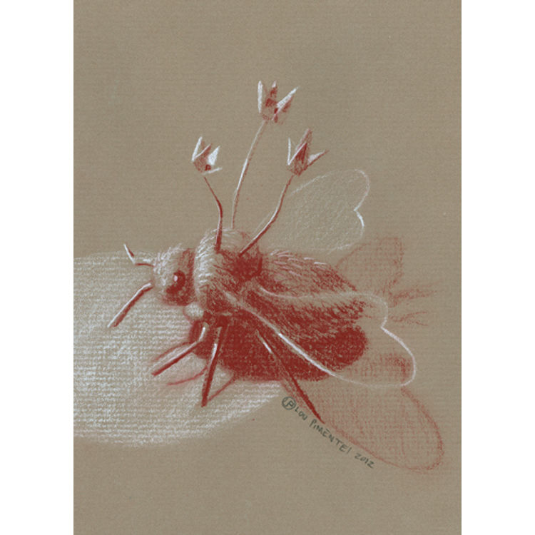 The Lover Study by Lou Pimentel