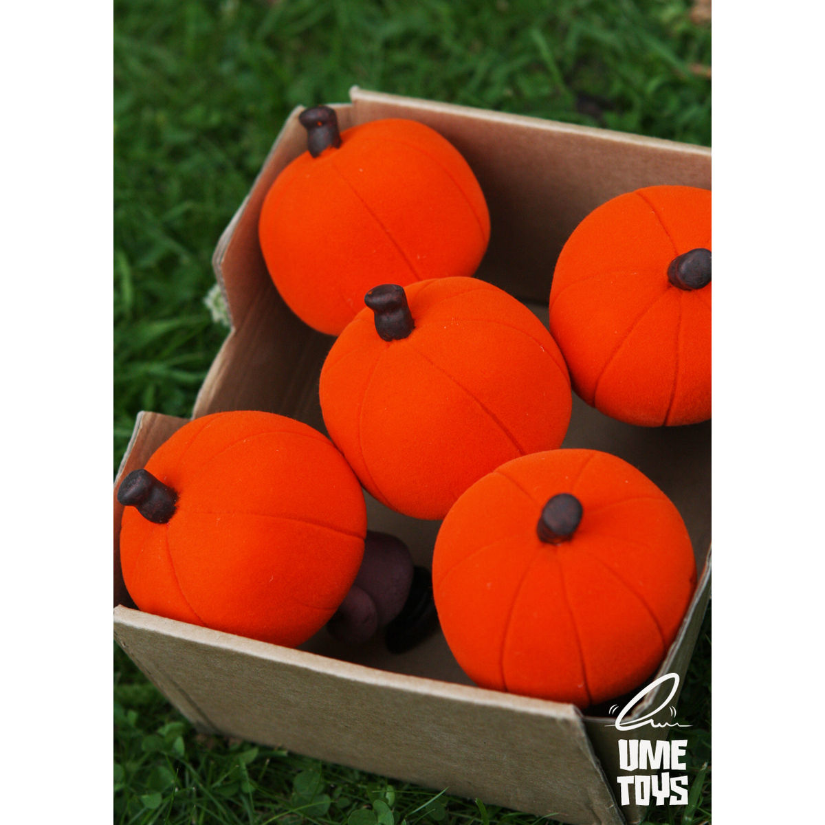 Hugo Shortpants - Flocked