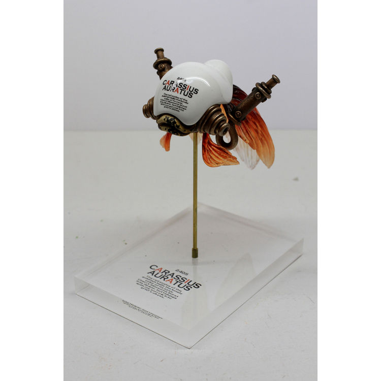 Goldfish by Michihiro Matsuoka