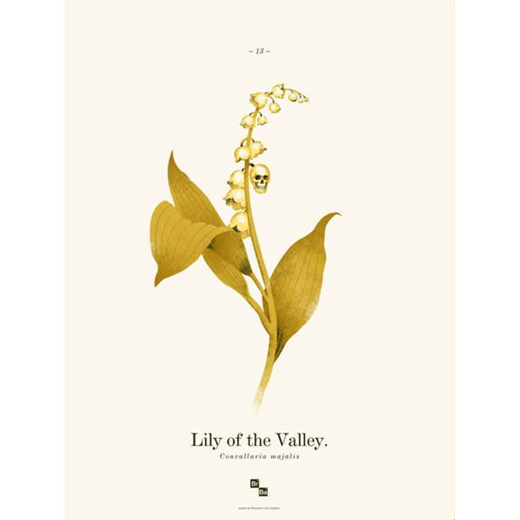 Lily of the Valley by Phantom City Creative