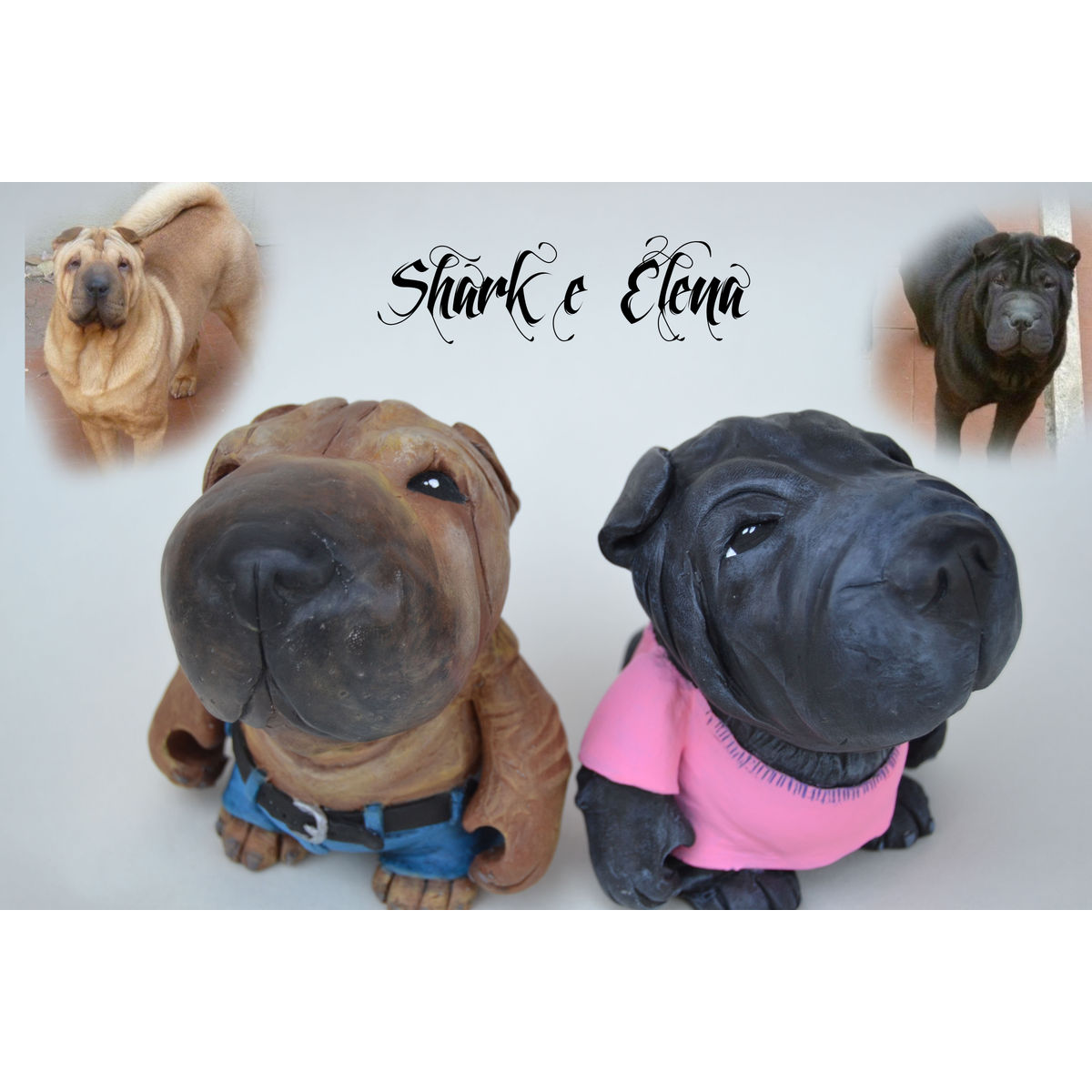 Shark & Elena