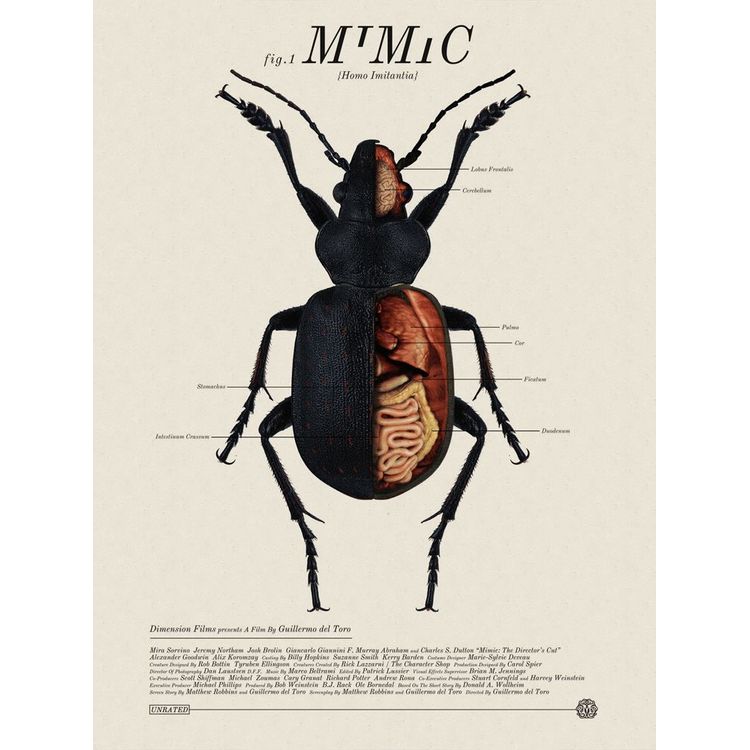 Mimic by Jay Shaw (Iron Jaiden)