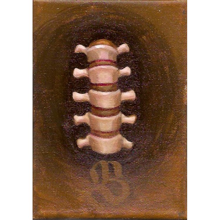 Spine by Steven Daily