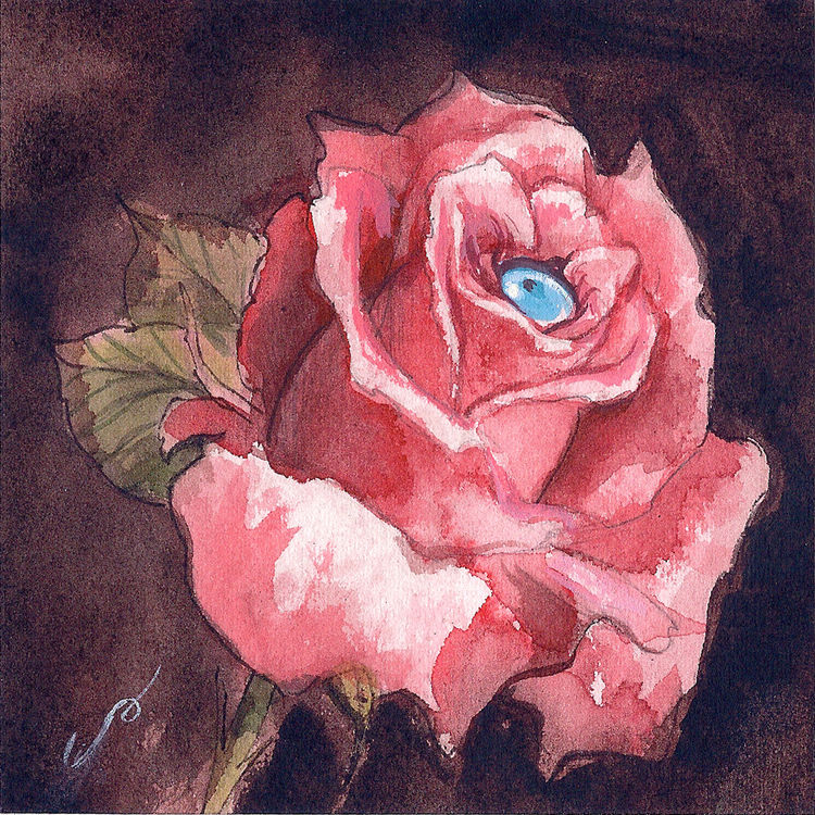 Rose Eye 2 by Shawn Barber