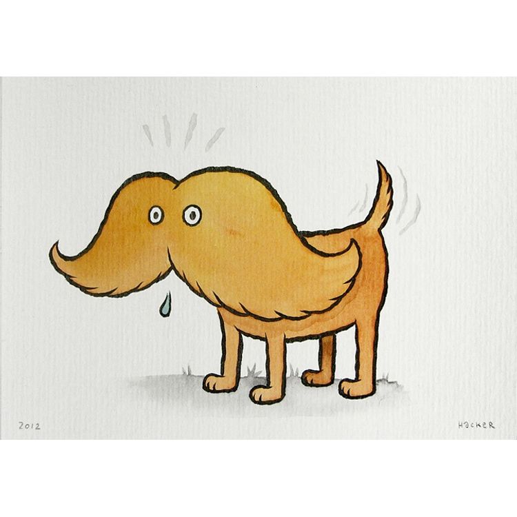 Schnauzer by Michael Hacker
