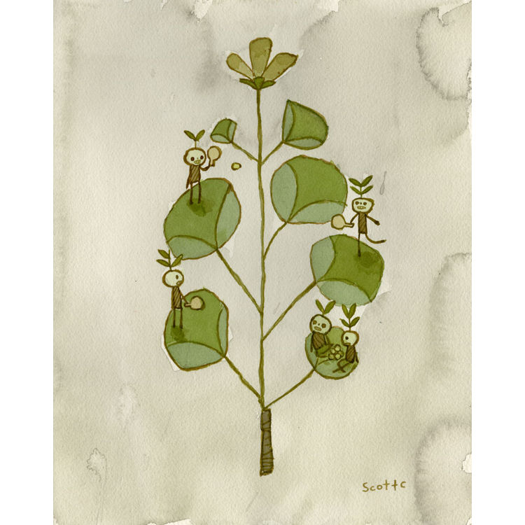 Paddles by Scott Campbell (Scott C)