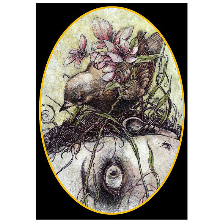Vexed by Jeremy Hush