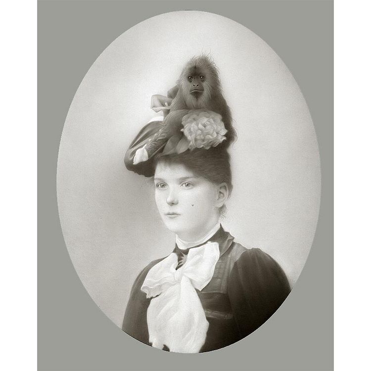 Miss Lucy & Her "Hat Monkey" by Travis Louie