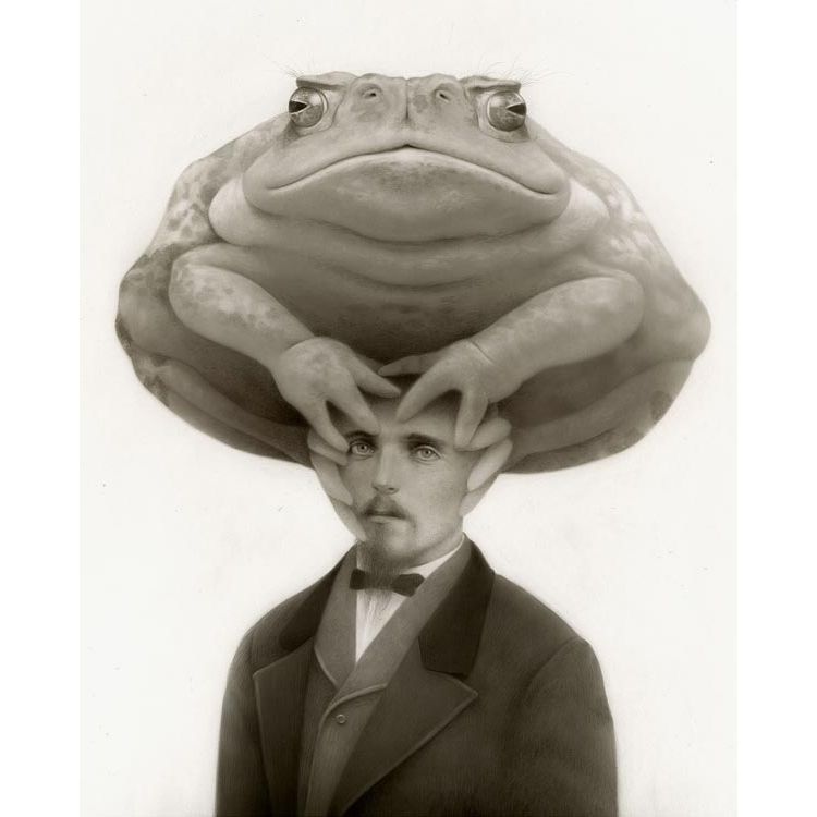 Oscar & the Truth Toad by Travis Louie