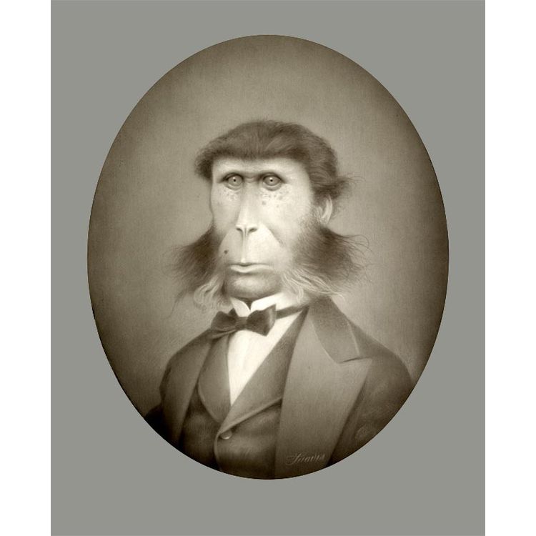 George by Travis Louie