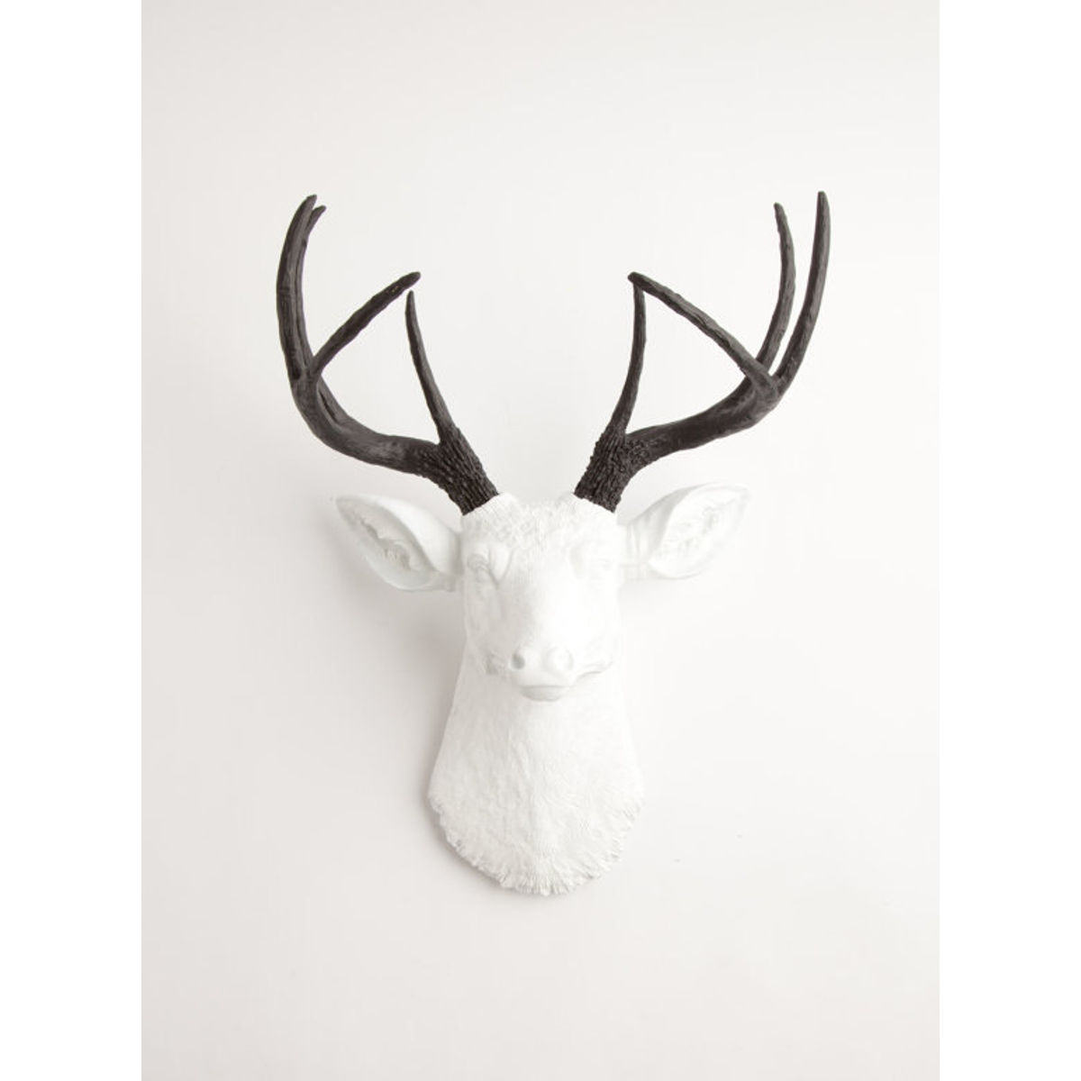 The Maud - White W/ Black